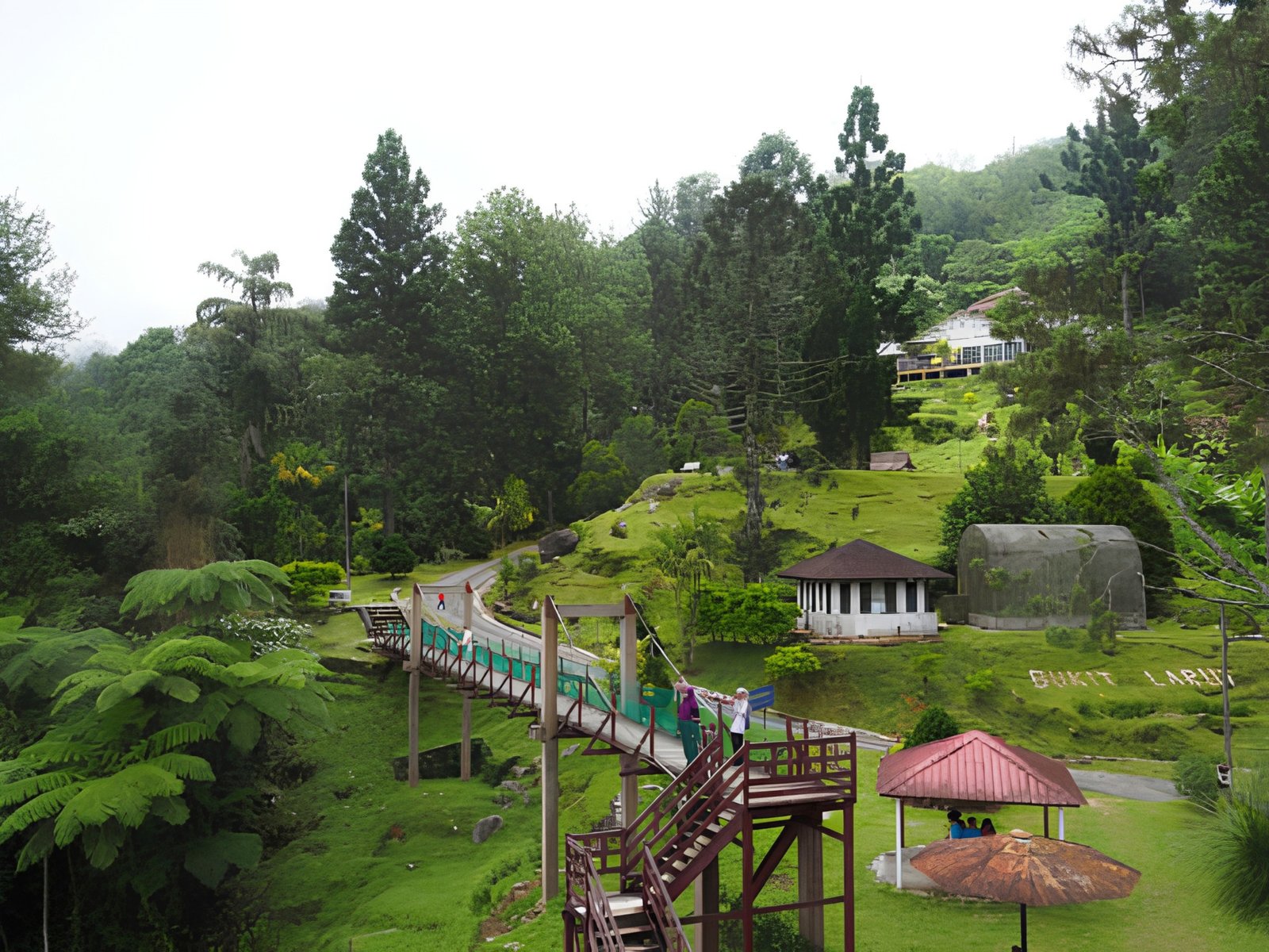 Bukit Larut