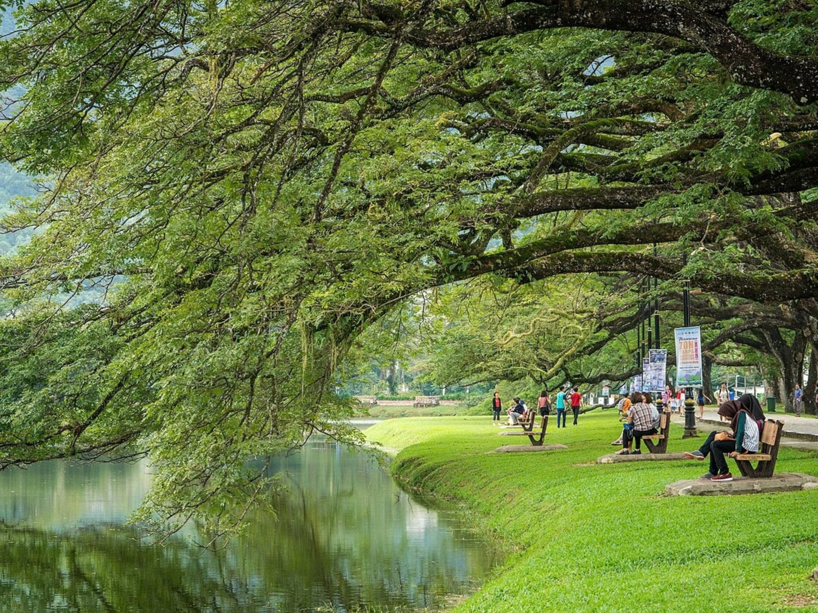 Taiping Lake Gardens